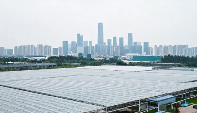 如何利用企业名录解决信息更新难题,阿里巴巴java开发手册提供实用指引