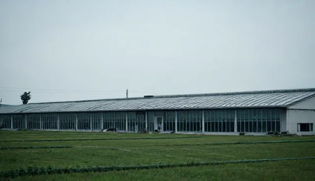 黄页产品选型与使用建议:应对业务发展趋势